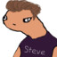 Cheddar Steve