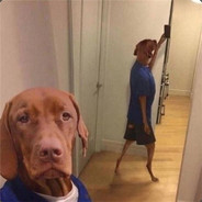 抱歉，我就是个弟弟