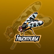 Fruchtfliege