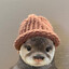 noroh