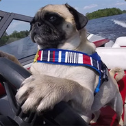 Pugboat