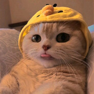 роскошный максим