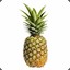 pineapplepro