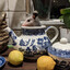 Teapot Possum