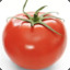 tomato tom