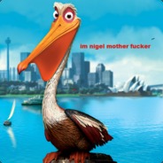 Pelican
