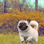 《网络连接无响应》