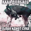 френдли фаер