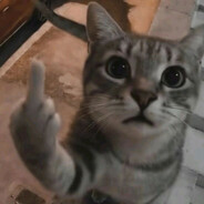 ۞Evil Dr. Meow۞ avatar