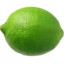 lyme
