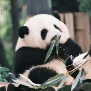 两份麻酱一份糖