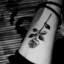 -Eve-