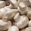 Pstruh_Bruh