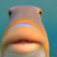FriendlyFishGamer