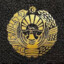 firdavs_20101
