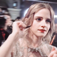 木瓜团队256600836