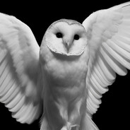 juno77 - steam id 76561199223568704