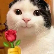 能力越小责任越小