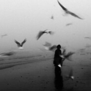 看看我能做什么