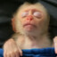 Astral Plane Monkey