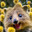 happyquokkasmile