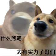 配猪20一天去不去