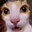Kitter
