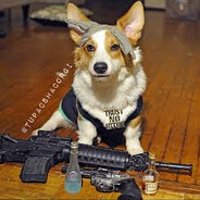 AmazingPuppyArmy