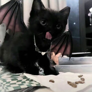 我是秦始皇转世请V我50助我打下江山