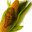 Corn0ffTheCob's avatar