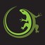 Lizard