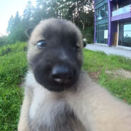 flegont282zaicev1998