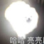 亮亮屁眼