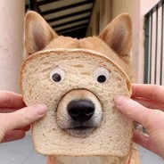 独角兽头骨的守卫者