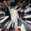 Mr_Meow