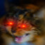 Clawcurse
