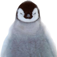 Emperor penguin