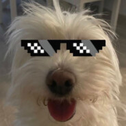 T1PU - steam id 76561198238865948