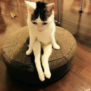 枪法玄学意识差