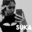 MISIEK_MAJSTER