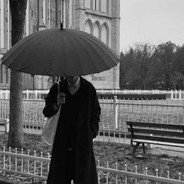 如清梦遇惊鸿、