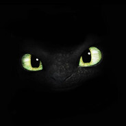 NIGHT_FURY