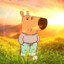 DonK [him]