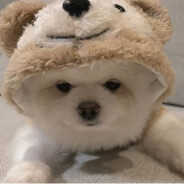 码枪小天才suansuan