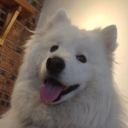 我假装过去不重要