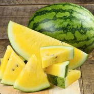 Yellow Watermelon