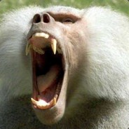 喂？有正常的队友吗？喂？