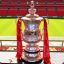 FA Cup 2014 (Arsenal)