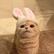 ￴ㅤ￴ㅤ￴￴ㅤ￴ㅤ￴