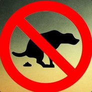 романтик Алишер